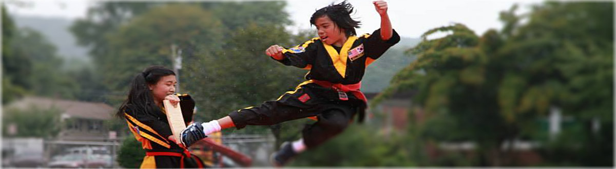 All Star Taekwondo Demo Team performing synchronized high flying kicks